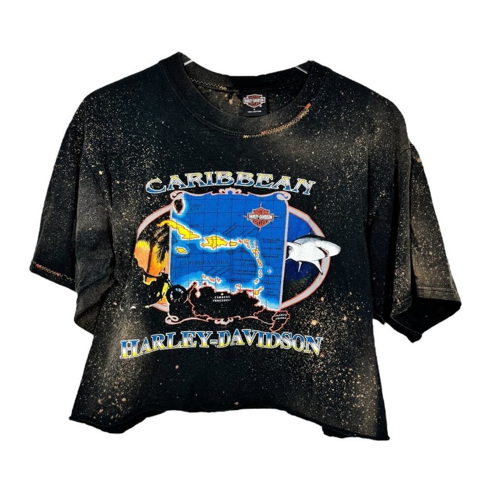 Reworked Harley Davidson Cropped Graphic Tee Large Oversized Bleached Boho Edgy
